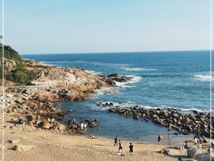 -广东惠东海龟国家级自然保护区