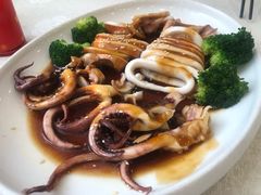 白灼鱿鱼桶-姚林轩