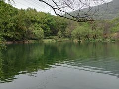 -紫霞湖公园