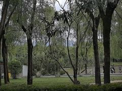 -洨河生态公园