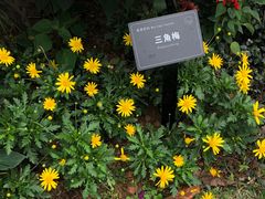 -东莞植物园