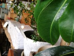 -懒鱼时光馆(沙坪坝店)