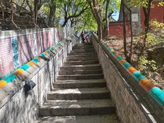 -妙峰山风景名胜区