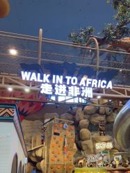 点击看大图 -卡通尼·Safari非洲探索乐园·生日会(金桥国际商业广场店)