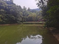 -广州市白云山风景名胜区