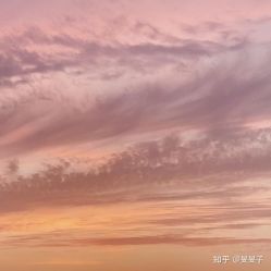 -薇兰专业脱毛连锁机构