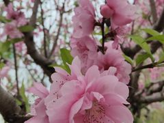 -西湖公园(鼓楼区)