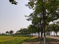 -阳澄湖半岛旅游度假区