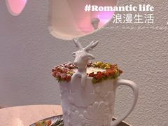 -伊斯坦布尔土耳其清真咖啡餐厅