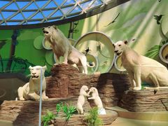 -陕西自然博物馆