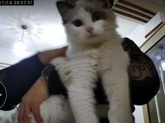 -贝利宠物医院·骨科·眼科·肿瘤转诊中心(南坪诊疗中心)