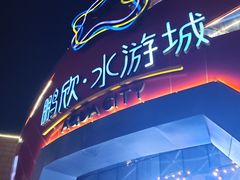 -鹏欣水游城