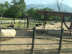 -西安秦岭野生动物园