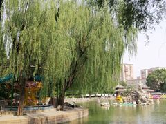 -团结湖公园