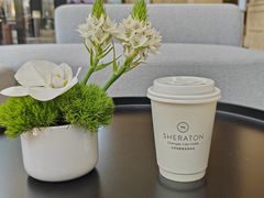 -成都天府丽都喜来登饭店