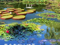 -国家植物园南园