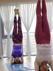 -酉嘉瑜伽YO+YOGA