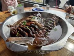 -欢乐松鼠谷
