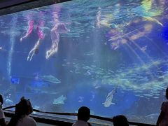 -海合安成都极地海洋公园
