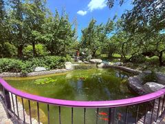 -思念果岭悦温泉