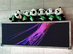 -亚善天籁S酒店(成都太古里旗舰店)