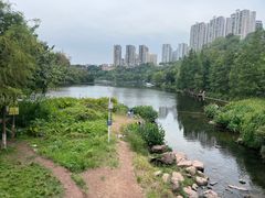 -重庆彩云湖湿地公园