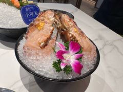 -海月轩海鲜豆捞(紫金塔店)