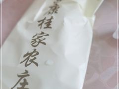 -东康桂家农庄
