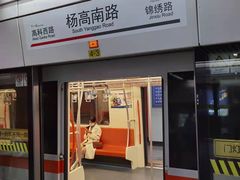 -杨高南路(地铁站)