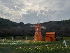 -苏州上方山国家森林公园