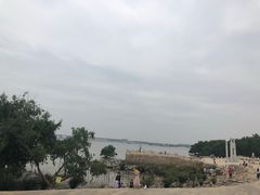 -宝安西湾红树林湿地公园