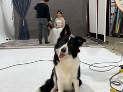 -正午照相馆·全家福·证件照·轻写真