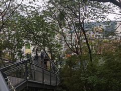 -佛山华盖山公园