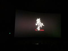 -SFC上影影城(北京大兴龙湖天街IMAX店)