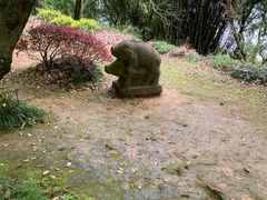 -千岛湖东南湖区