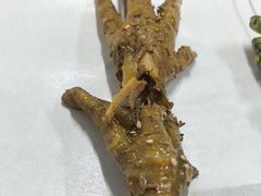 -老黑板筋(顺义总店)