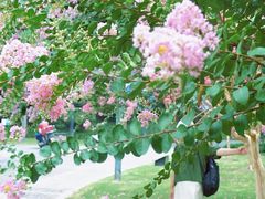 -杭州城北体育公园