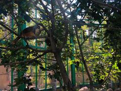 -石家庄市植物园