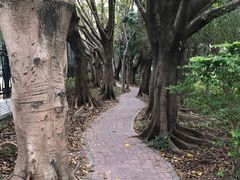 -情侣路