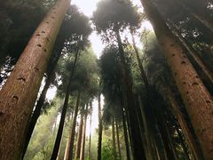 -九峰山