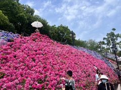 -苏州上方山国家森林公园