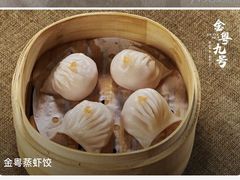 -金粤九号(李公堤店)