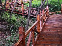 -大岭沟猕猴桃谷风景区