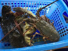 -班赞海鲜市场
