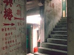 -九龙寨城公园