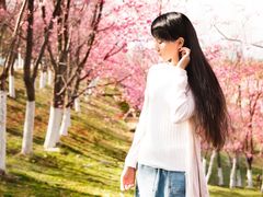 大理大学樱花写真-理想国摄影(三塔店)