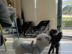-乐琪宠物医院·犬猫专科·骨外科·急重症