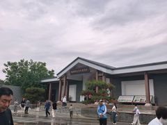 -白洋淀景区