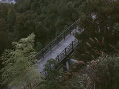 -千岛湖天屿景区