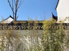 -桃花堤公园
